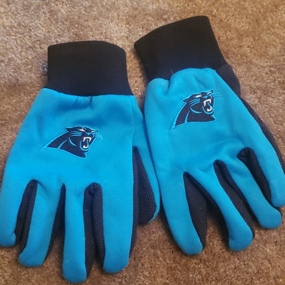Carolina Panthers Winter Gloves
